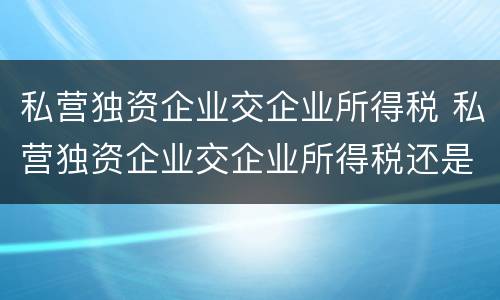 私营独资企业交企业所得税 私营独资企业交企业所得税还是个人所得税