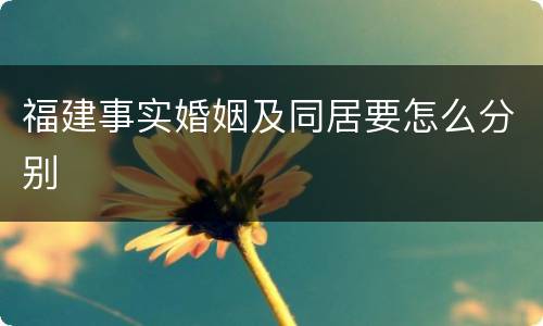 福建事实婚姻及同居要怎么分别