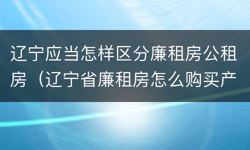 辽宁应当怎样区分廉租房公租房（辽宁省廉租房怎么购买产权）