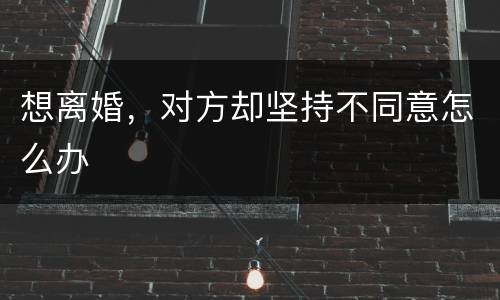 想离婚，对方却坚持不同意怎么办