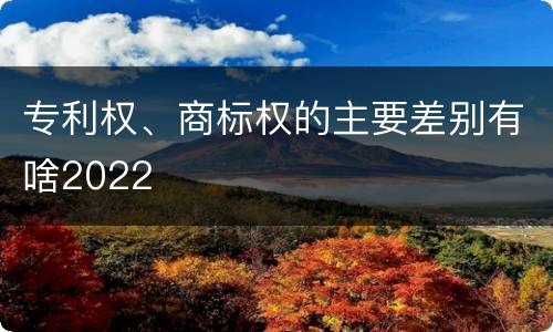 专利权、商标权的主要差别有啥2022