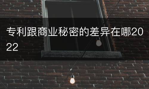 专利跟商业秘密的差异在哪2022