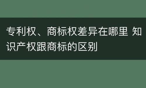 专利权、商标权差异在哪里 知识产权跟商标的区别
