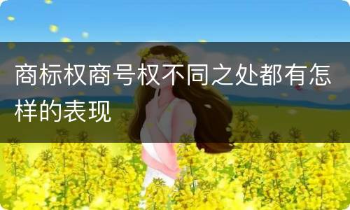 商标权商号权不同之处都有怎样的表现