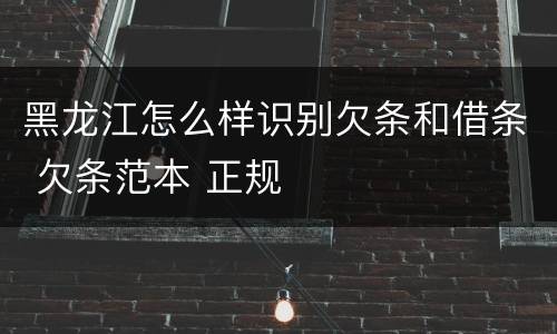 黑龙江怎么样识别欠条和借条 欠条范本 正规