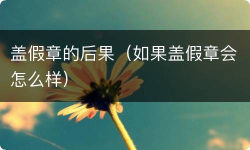 盖假章的后果（如果盖假章会怎么样）