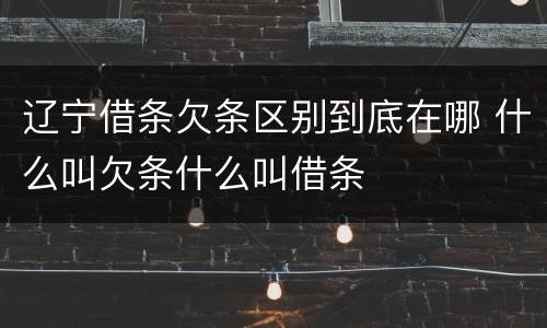 辽宁借条欠条区别到底在哪 什么叫欠条什么叫借条
