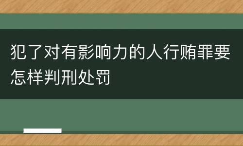 犯了对有影响力的人行贿罪要怎样判刑处罚
