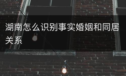 湖南怎么识别事实婚姻和同居关系