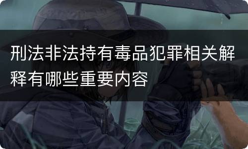 刑法非法持有毒品犯罪相关解释有哪些重要内容