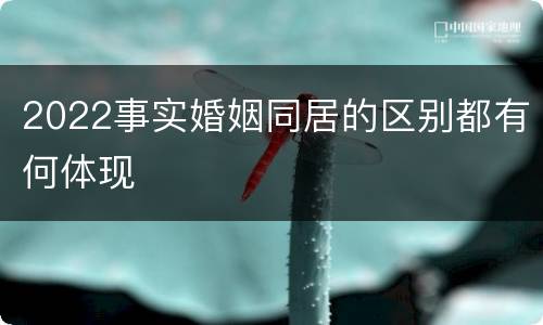 2022事实婚姻同居的区别都有何体现