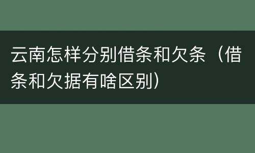 云南怎样分别借条和欠条（借条和欠据有啥区别）
