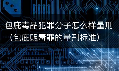包庇毒品犯罪分子怎么样量刑（包庇贩毒罪的量刑标准）
