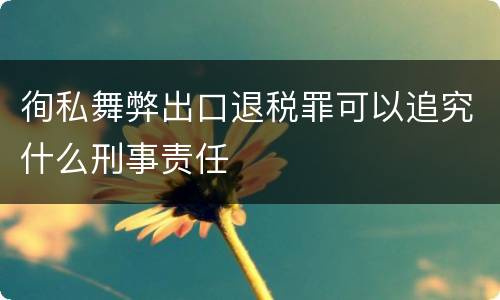 徇私舞弊出口退税罪可以追究什么刑事责任