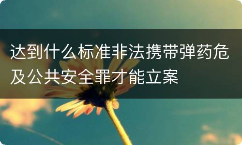 达到什么标准非法携带弹药危及公共安全罪才能立案