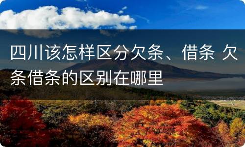 四川该怎样区分欠条、借条 欠条借条的区别在哪里