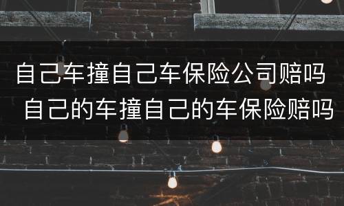 自己车撞自己车保险公司赔吗 自己的车撞自己的车保险赔吗