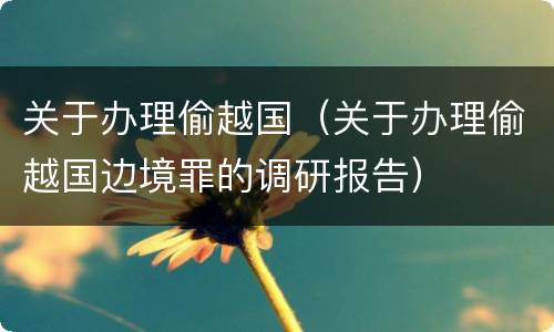 关于办理偷越国（关于办理偷越国边境罪的调研报告）