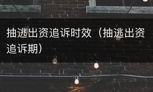 抽逃出资追诉时效（抽逃出资追诉期）