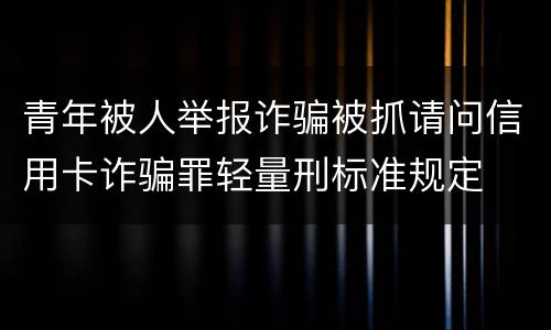 青年被人举报诈骗被抓请问信用卡诈骗罪轻量刑标准规定