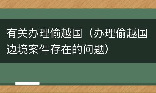 有关办理偷越国（办理偷越国边境案件存在的问题）