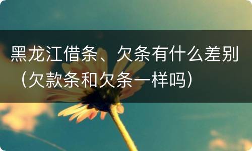 黑龙江借条、欠条有什么差别（欠款条和欠条一样吗）