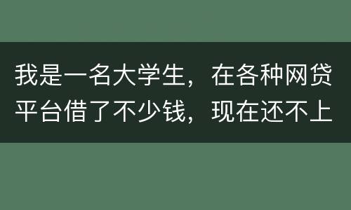 我是一名大学生，在各种网贷平台借了不少钱，现在还不上，如果不还会怎么样