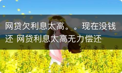 网贷欠利息太高。。现在没钱还 网贷利息太高无力偿还
