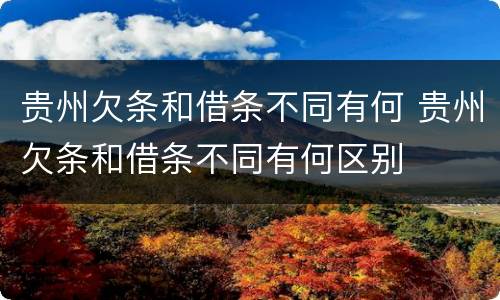 贵州欠条和借条不同有何 贵州欠条和借条不同有何区别