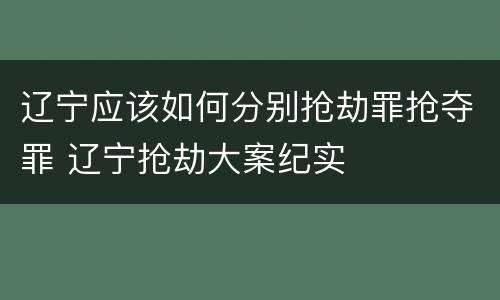 辽宁应该如何分别抢劫罪抢夺罪 辽宁抢劫大案纪实