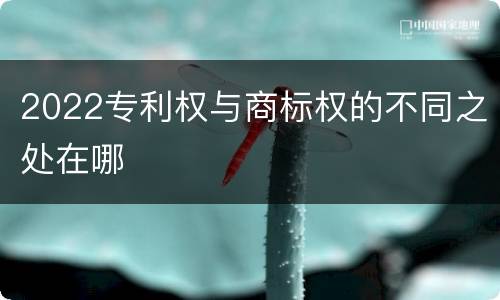 2022专利权与商标权的不同之处在哪