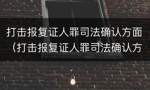 打击报复证人罪司法确认方面（打击报复证人罪司法确认方面的规定）