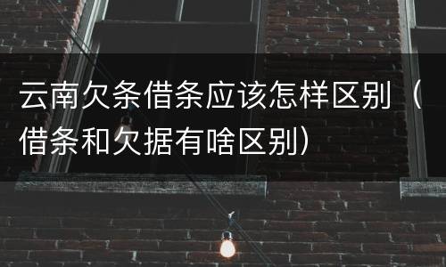 云南欠条借条应该怎样区别（借条和欠据有啥区别）