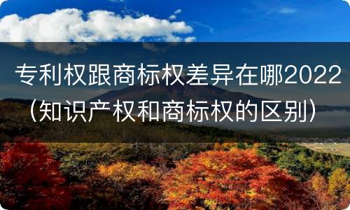 专利权跟商标权差异在哪2022（知识产权和商标权的区别）