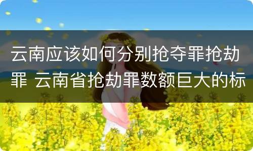 云南应该如何分别抢夺罪抢劫罪 云南省抢劫罪数额巨大的标准