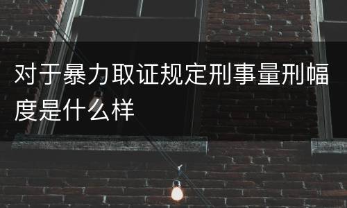 对于暴力取证规定刑事量刑幅度是什么样