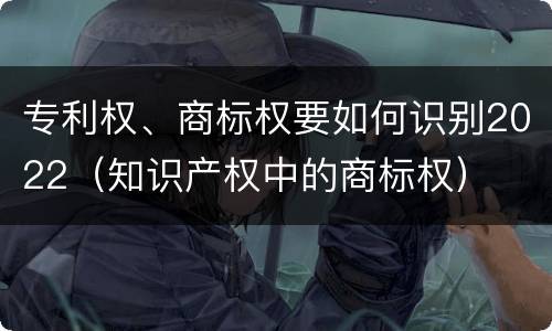 专利权、商标权要如何识别2022（知识产权中的商标权）
