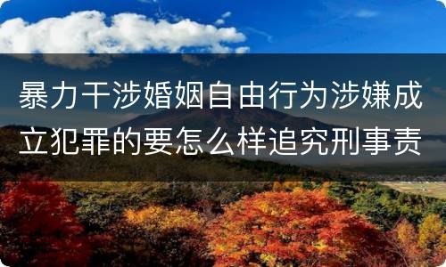 暴力干涉婚姻自由行为涉嫌成立犯罪的要怎么样追究刑事责任
