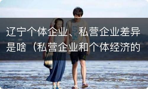 辽宁个体企业、私营企业差异是啥（私营企业和个体经济的区别）