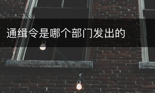 通缉令是哪个部门发出的