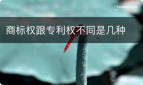 商标权跟专利权不同是几种