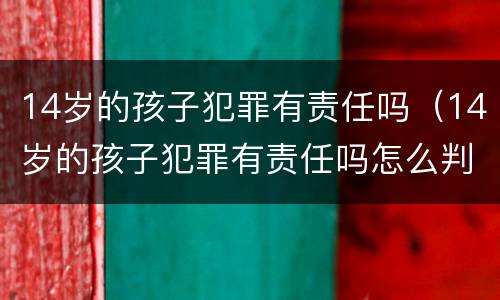 14岁的孩子犯罪有责任吗（14岁的孩子犯罪有责任吗怎么判）