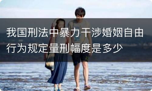 我国刑法中暴力干涉婚姻自由行为规定量刑幅度是多少