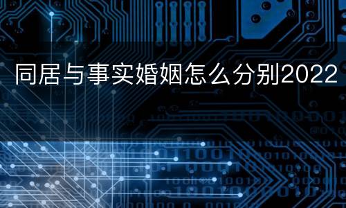 同居与事实婚姻怎么分别2022