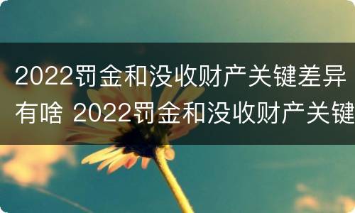2022罚金和没收财产关键差异有啥 2022罚金和没收财产关键差异有啥不同