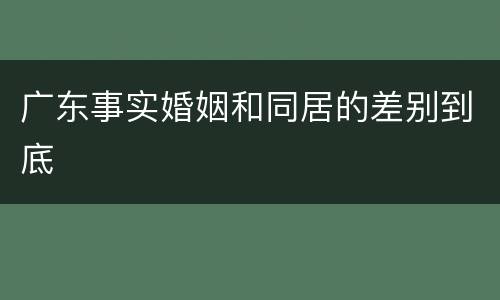 广东事实婚姻和同居的差别到底