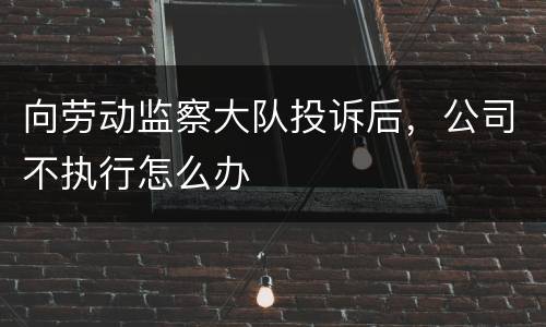 向劳动监察大队投诉后，公司不执行怎么办
