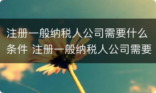注册一般纳税人公司需要什么条件 注册一般纳税人公司需要什么条件呢