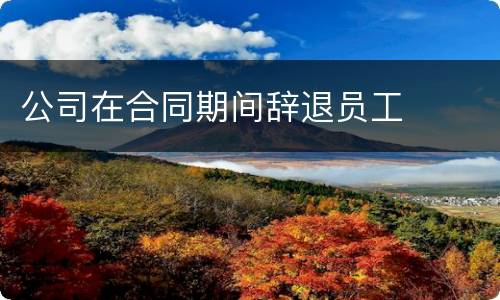公司在合同期间辞退员工