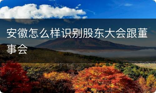 安徽怎么样识别股东大会跟董事会